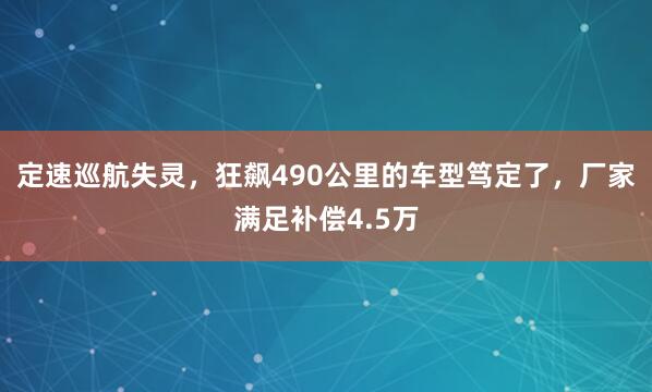 定速巡航失灵，狂飙490公里的车型笃定了，厂家满足补偿4.5万